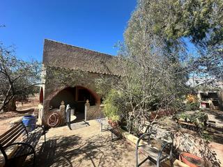 Bauernhof in Jumilla