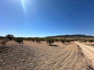 Terreny residencial a Jumilla