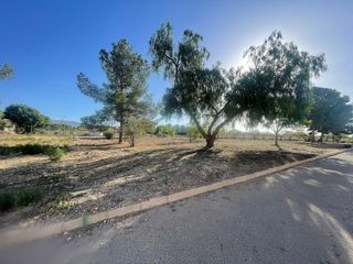 Residential Plot in Pinoso