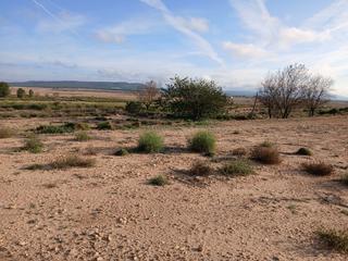 Residential Plot in Yecla