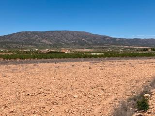 Terreny residencial a Pinoso
