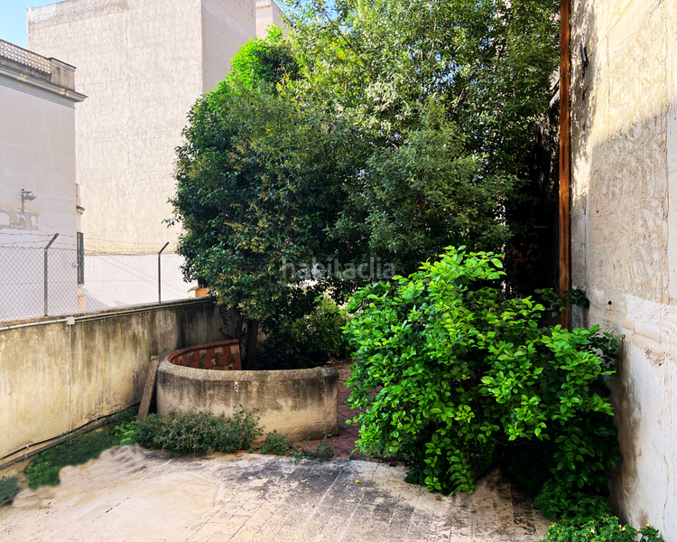 Foto 66763005-4ab4-4059-bc09-9d2c0c0b9929. Masia a Las Fuentes-Los Cipreses Aspe