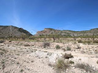 Terreny residencial a Salinas