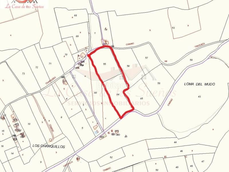 Foto 2cfe9619-3dca-4a3c-8bdc-448f544ba939. Terreno residencial en Sax