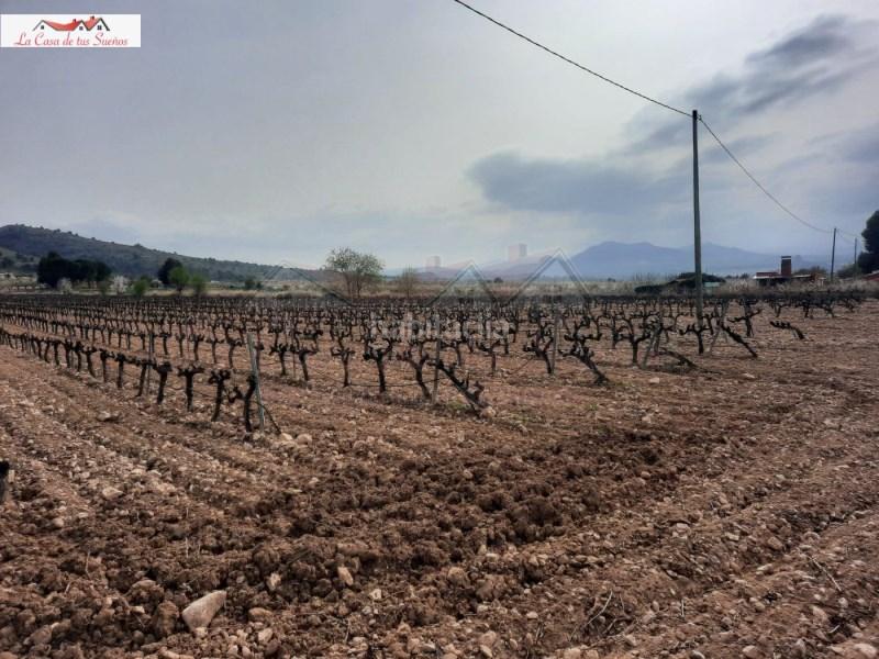 Foto 48eb9a12-3f41-42d5-a8eb-37e12956d2e3. Terreno residencial en Sax