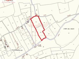 Residential Plot in Sax