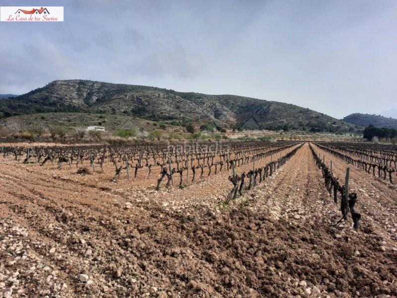 Foto 6de7f52f-c4fb-4d78-b65c-78fc71d1ee53. Terrain résidentiel dans Sax