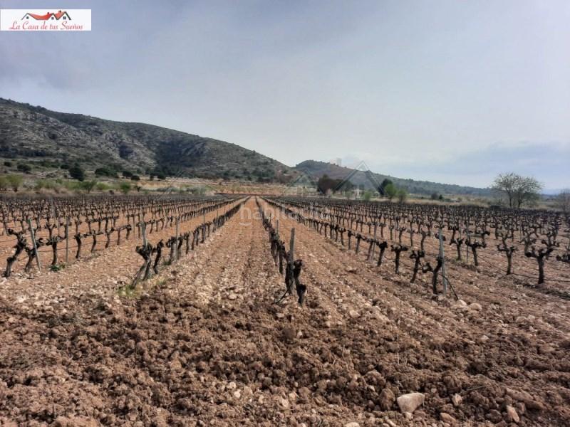 Foto 3f7da7ad-562c-4ce1-8dcf-8d72a65fd906. Terreno residenziale in Sax