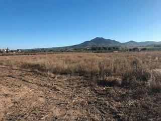 Residential Plot in Salinas