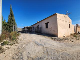 Bauernhof in Pinoso