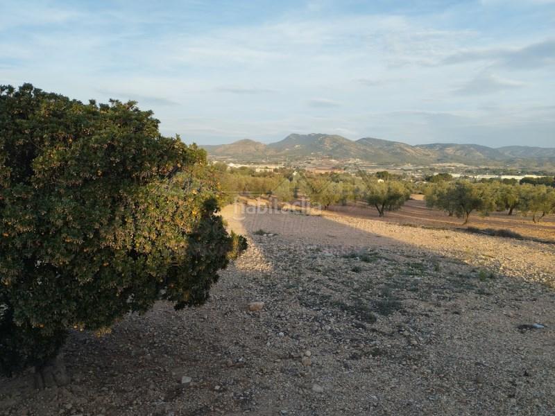 Foto dcb063d5-298b-4cef-8e73-8af2d4163ca5. Casa en Sax