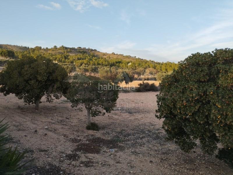 Foto b51e6812-e2bc-426f-aeef-648da1d1d44e. Maison dans Sax