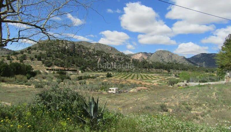 Foto 0f12e7fb-9a2f-4357-a1c4-541a0b7cc239. Xalet a Romana (la)