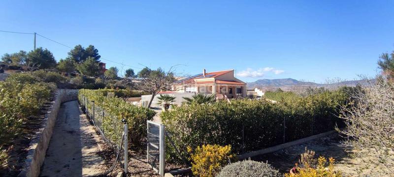 Foto a885b7e7-0317-46b8-a7d5-dc599bd0fb3a. Maison dans Pinoso