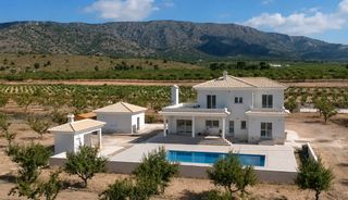 Haus in Pinoso