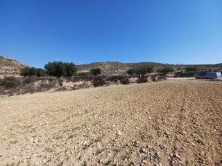 Terreny residencial a Pinoso