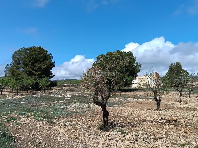 Foto 19917a3f-d6a2-4946-8027-e35ee1a6ebdf. Terreno residenziale in Yecla