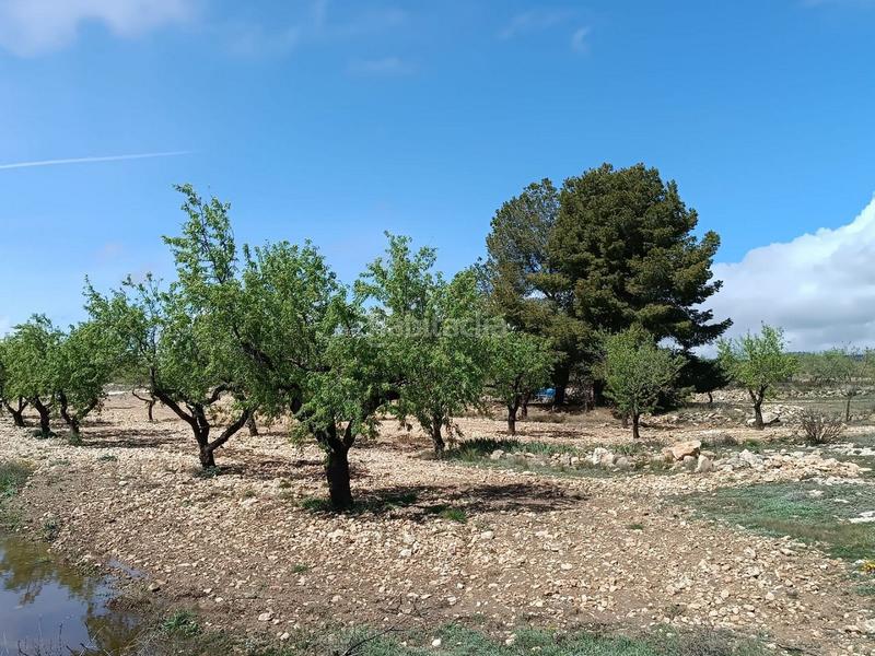 Foto 21e5d565-2b06-4412-8ded-b7f4d8d75e70. Terreno residenziale in Yecla