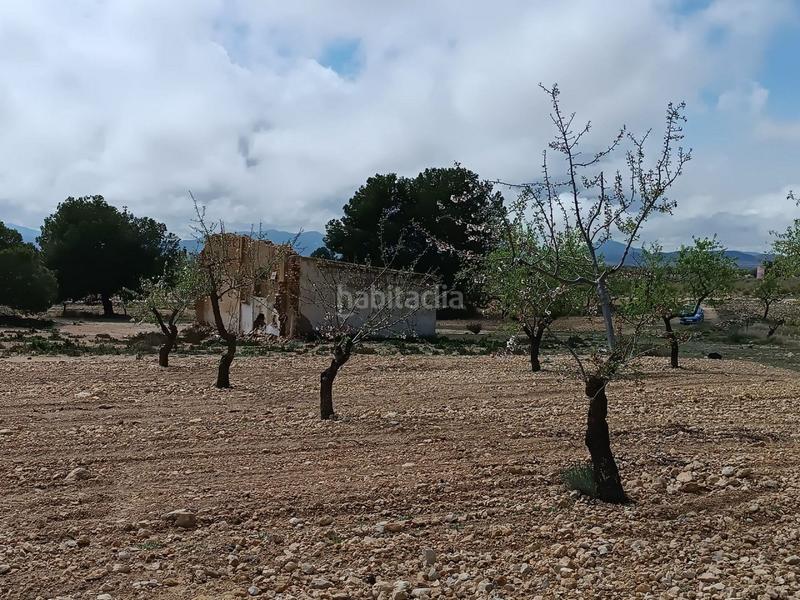 Foto 2abbe507-8c6c-467a-a0a7-2c37ca62662c. Terreno residenziale in Yecla