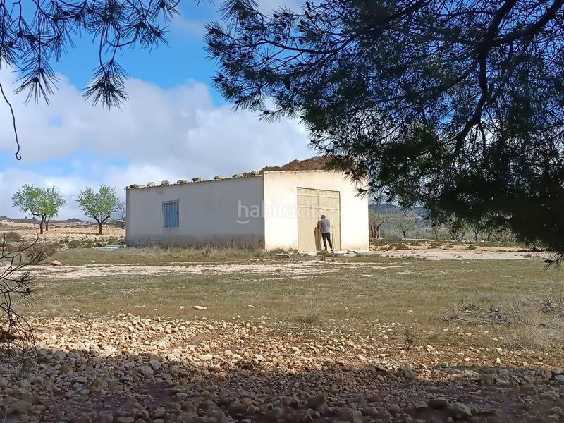 Foto 52d28131-f135-4d16-8b6f-9b095437662e. Terreno residenziale in Yecla