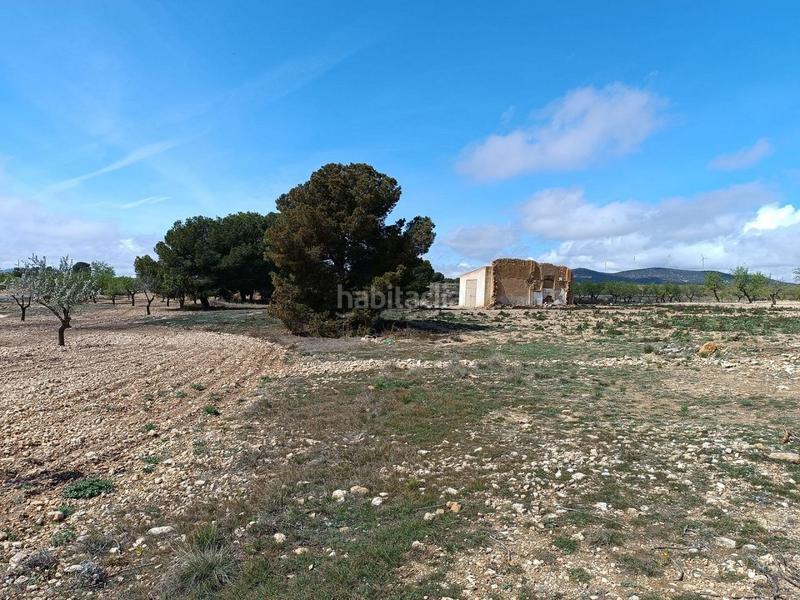 Foto 8434c05d-e217-4eeb-ba6c-129ca4a59084. Terreno residenziale in Yecla