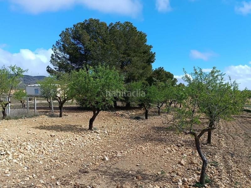 Foto 8bf8dd64-7374-4b88-a6bf-c4d0a73d2d66. Terreno residenziale in Yecla