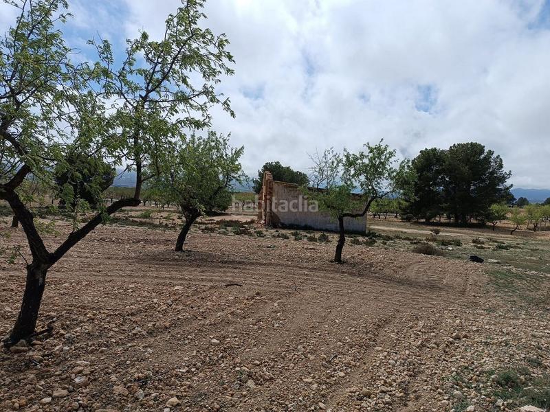 Foto 8d7c858b-876e-48ae-91c8-1de31271fa4a. Terreno residenziale in Yecla