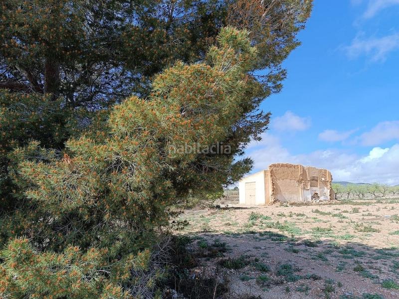 Foto 99c86dd3-bd03-42da-a8c2-b148fb9e758c. Terreno residenziale in Yecla