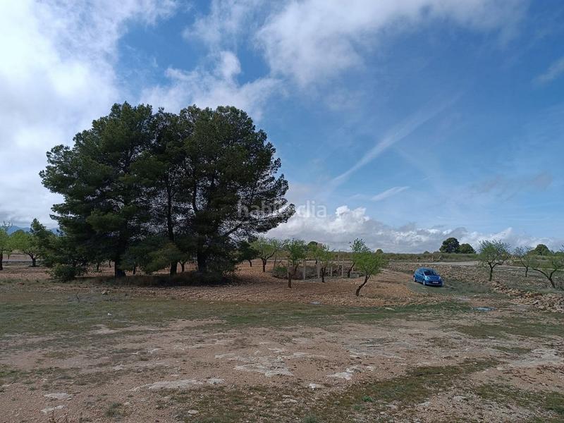 Foto ae7e4be1-51c9-4fa5-8194-d2c367ac98f4. Terreno residenziale in Yecla