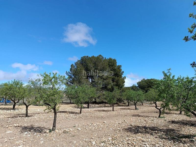 Foto cdfba0fe-ce22-425c-95b4-f5df2c958bc6. Terreno residenziale in Yecla