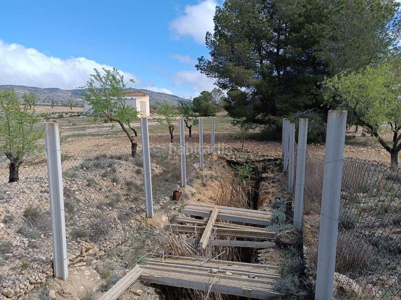 Foto e68ce1e6-7692-4e5b-abf6-bb35e541b993. Terreno residenziale in Yecla