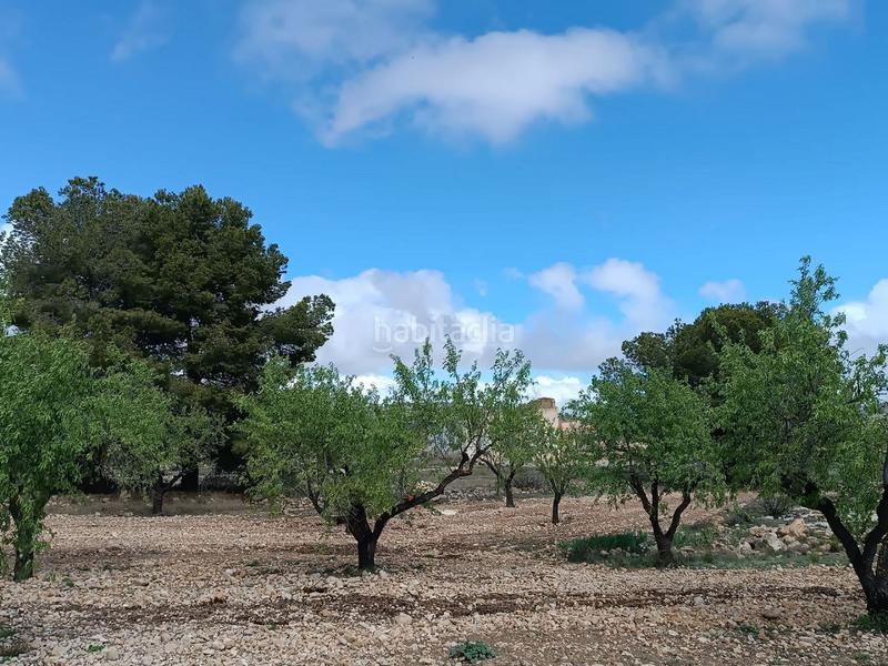 Foto eb264664-c2cf-4b43-9999-3553dacbb0be. Terreno residenziale in Yecla