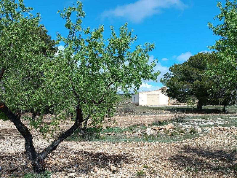 Foto ee4dad23-3b87-48ee-ba3e-dfa2e31b7065. Terreno residenziale in Yecla