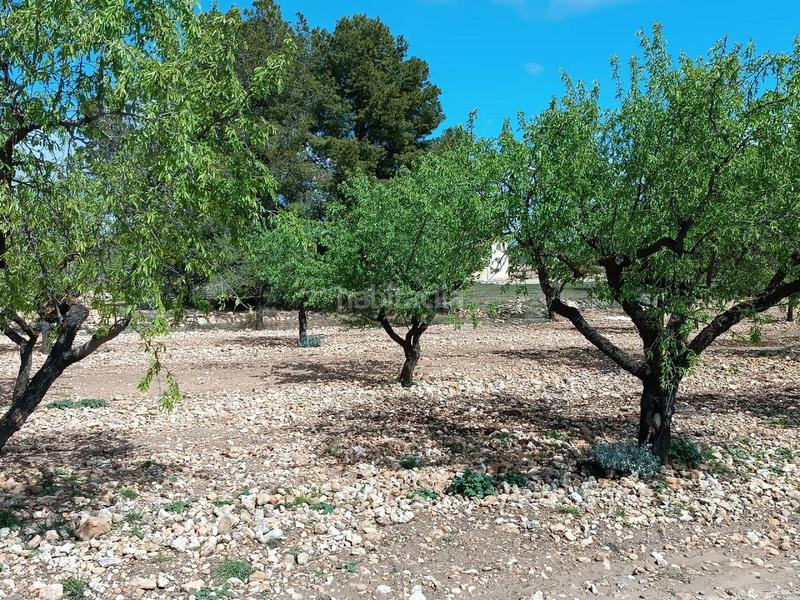 Foto f6a53683-5a37-499a-97dc-a6c0e859bfad. Terreno residenziale in Yecla