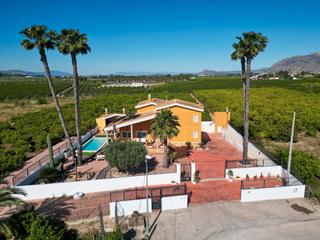 Country house in Desamparados - Hurchillo - Torremendo
