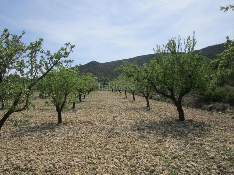 Foto 12722eab-1e3c-4c43-ab01-ed2547ee6d6a. Terreno residenziale in Yecla