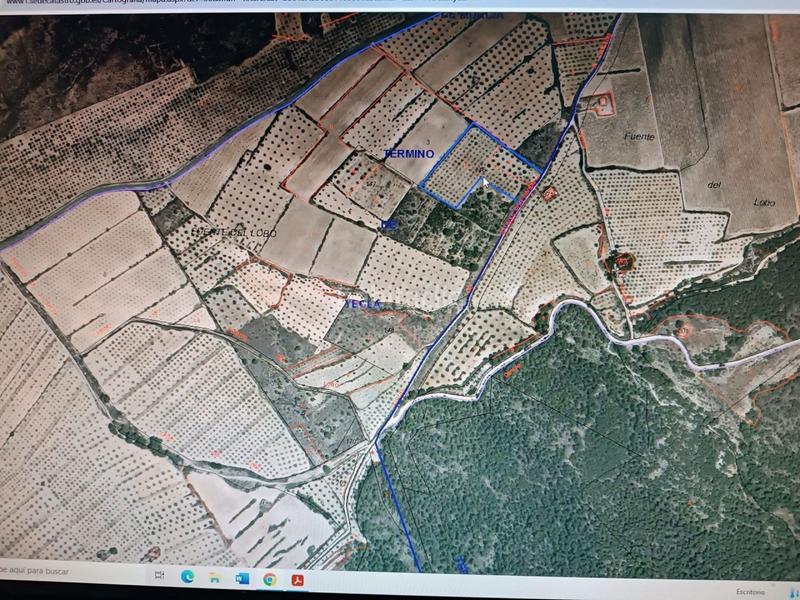 Foto 1533c167-2da9-48d1-bff6-34860eb2bd4e. Terreno residenziale in Yecla