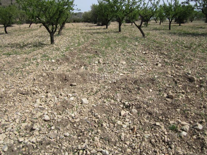 Foto 5ad2b597-deb3-46ef-baf4-82cda209570d. Terreno residenziale in Yecla