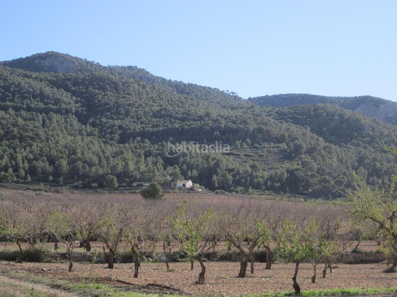 Foto 9cb76931-30d6-4111-9bd9-b14b9b98fd54. Terreno residencial en Yecla