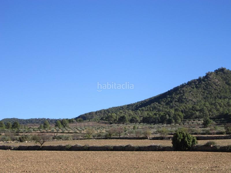 Foto 12d762e1-8140-4f31-aad4-24dc46a35d5d. Terreno residenziale in Yecla