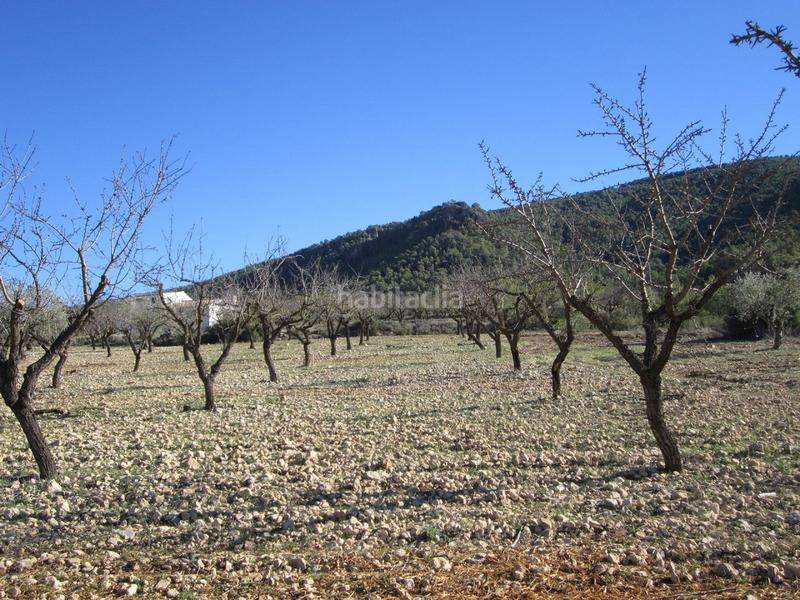 Foto 3e6f1322-649b-42fa-ab26-f3841642162f. Terreno residenziale in Yecla