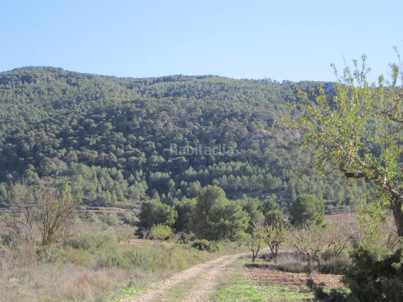 Foto aec88c82-7f7a-4d31-a4a6-91818cbe1d37. Terreno residenziale in Yecla