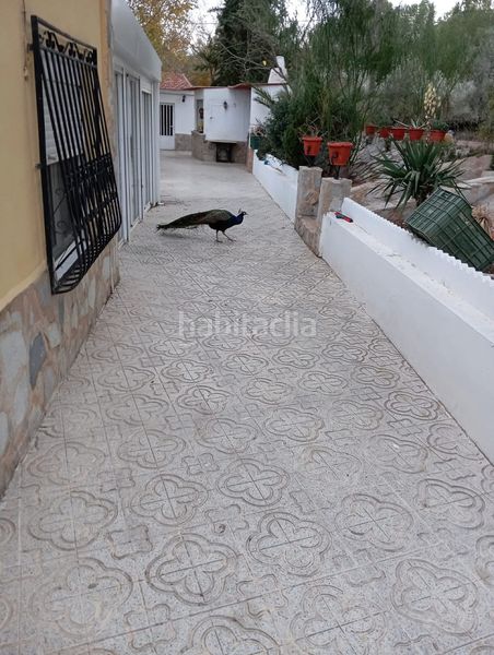 Foto ff7df287-8d20-401e-8511-4e9b243ee7b0. Casa a Sax