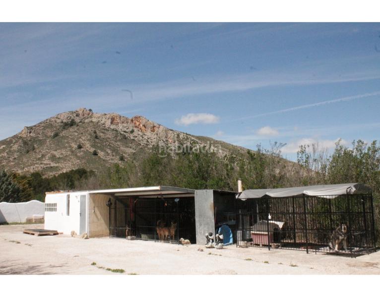 Foto 1152f522-b128-4249-8601-3da8fc616e01. Bauernhof in Las Virtudes Villena