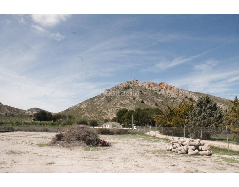 Foto 356cf4ad-9a38-48e6-b651-172049958395. Bauernhof in Las Virtudes Villena