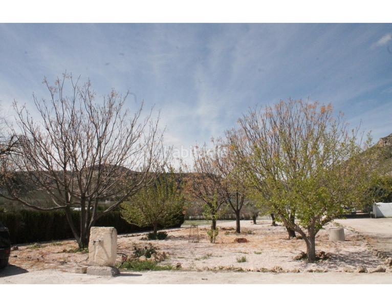 Foto 937a58bd-792c-4baf-8970-f8de183915fb. Bauernhof in Las Virtudes Villena