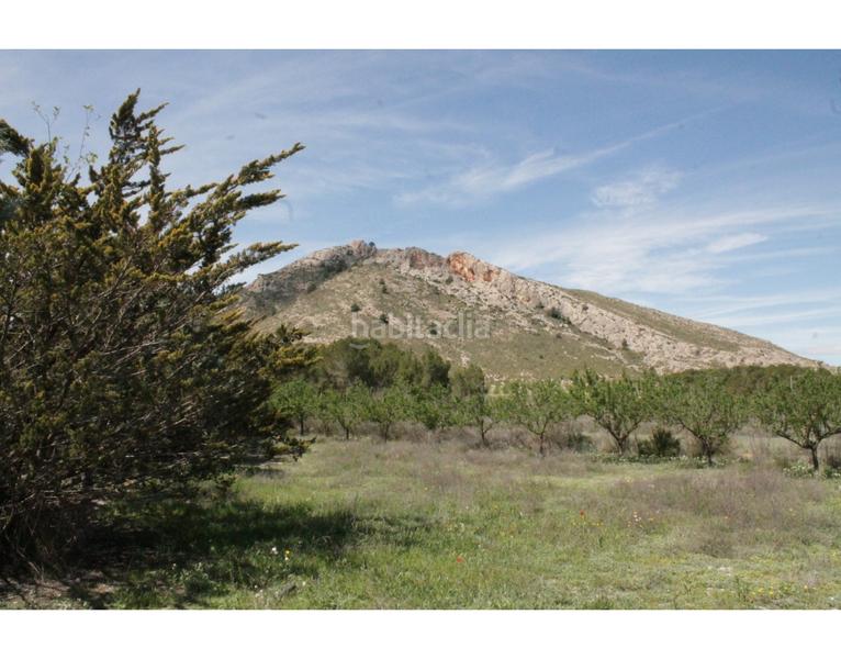 Foto b6d84448-52e6-4d27-a046-d257224b1bc7. Bauernhof in Las Virtudes Villena