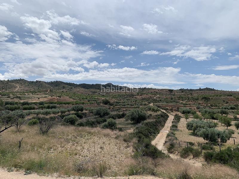 Foto 42194e12-fbda-4642-94a5-4b2ea180cdb4. Casale in Abanilla