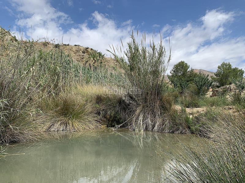 Foto 6416a807-168c-4b71-9bc2-5a96c26e3ef4. Casale in Abanilla