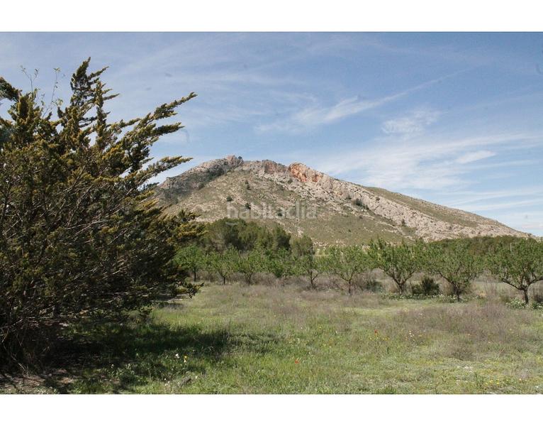 Foto 9c9cb910-6eb4-4d38-a2e8-6d12f2dff6e2. Bauernhof in Las Cruces Villena